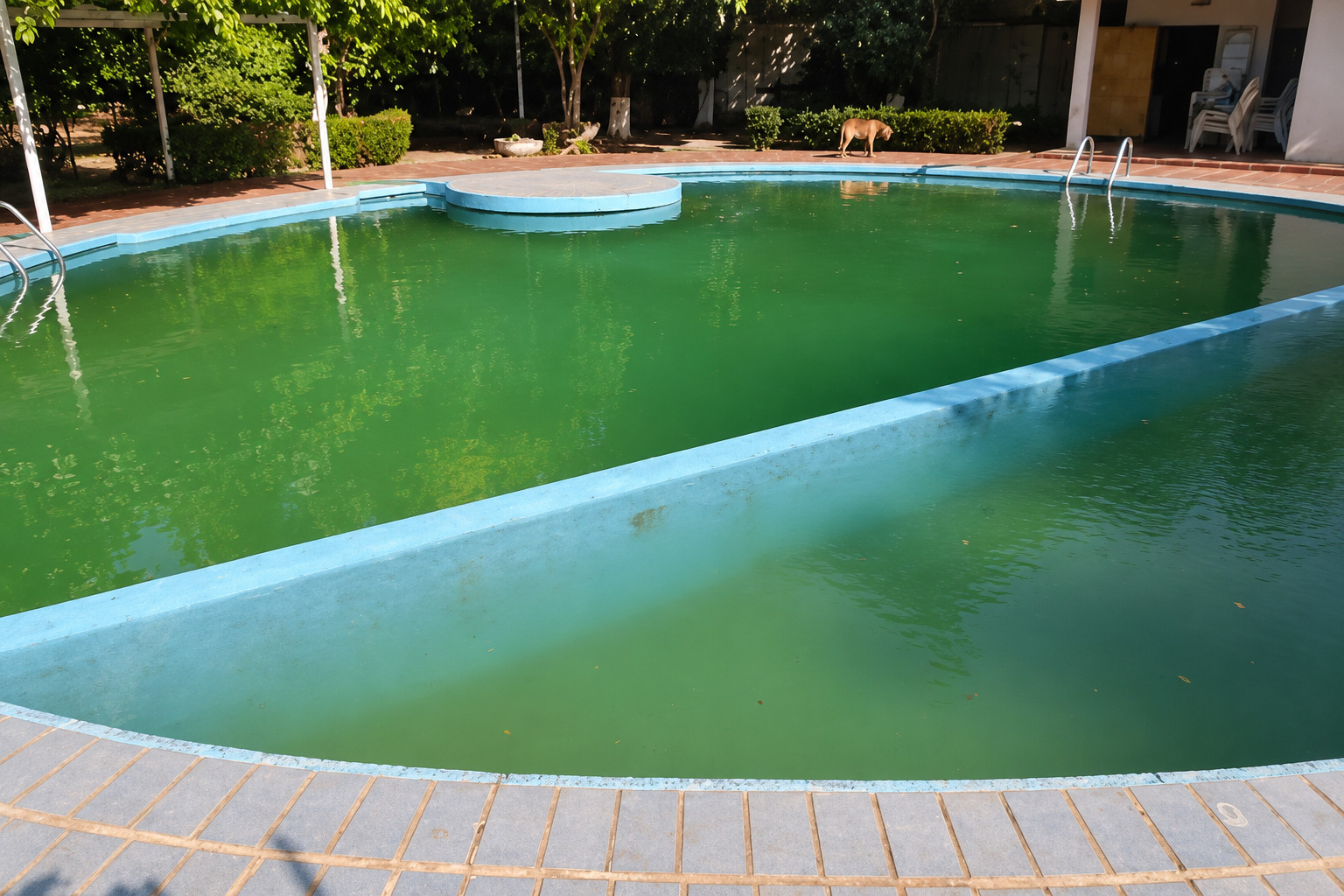 Piscina con agua de apariencia verdosa. Imagen regenerada de referencia.